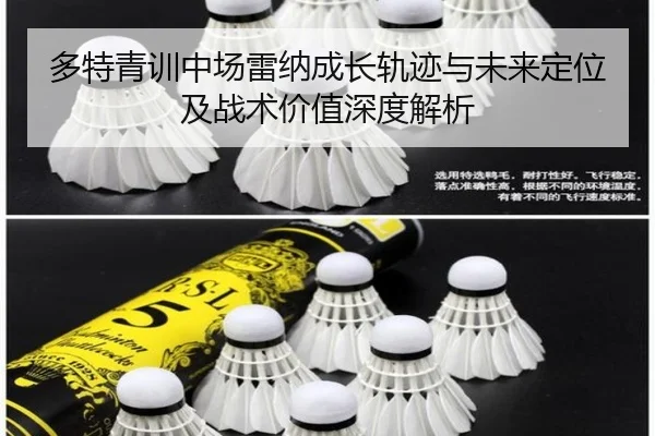 多特青训中场雷纳成长轨迹与未来定位及战术价值深度解析